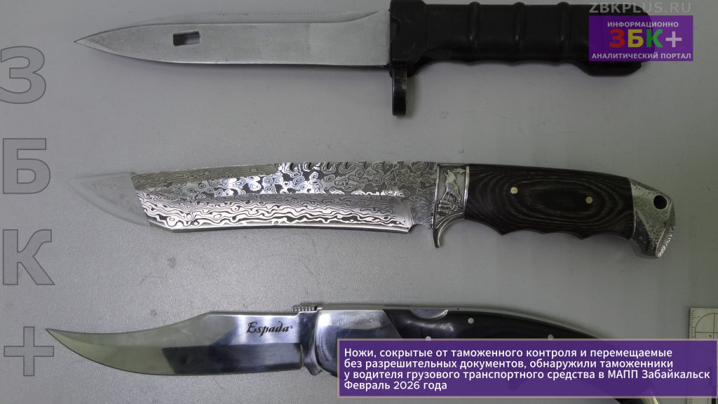 Читинские таможенники обнаружили ножи-1