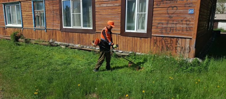 Забайкальск покос травы