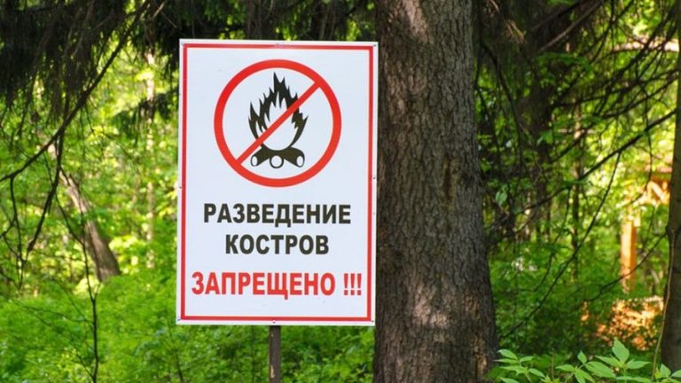 Запрет костров в лесу
