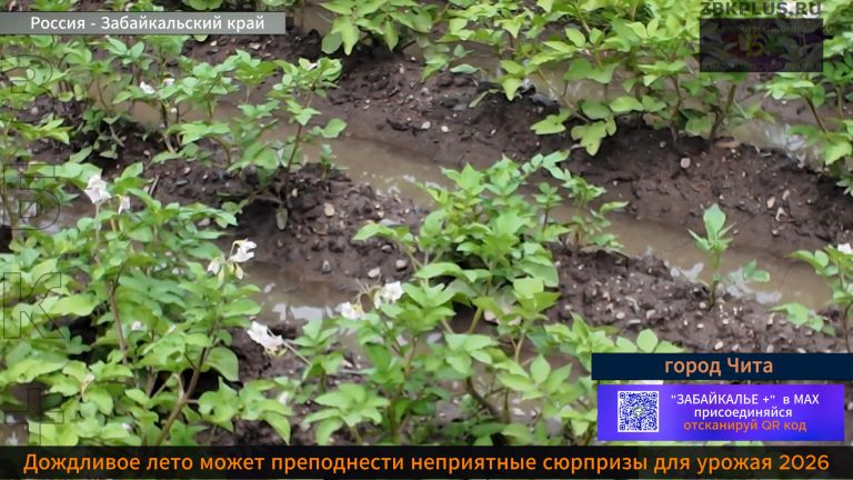 Кенонский дожди 1