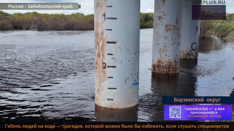 Борзянка разлившаяся 1