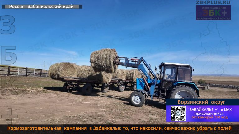 Борзя сенокос-2026 1