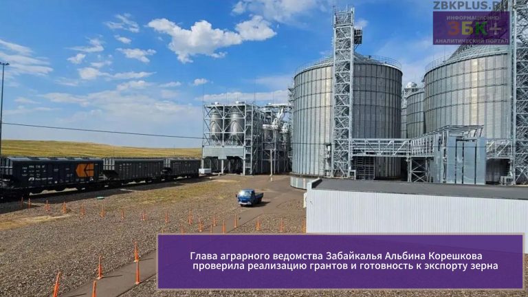 Забайкальск сельское хозяйство Корешкова 2