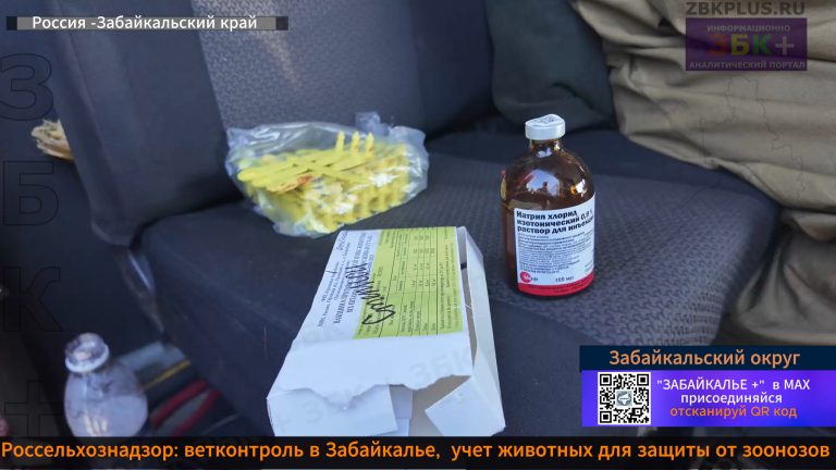 ветеринары учет и вакцинация 1