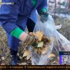 Забайкальск субботник