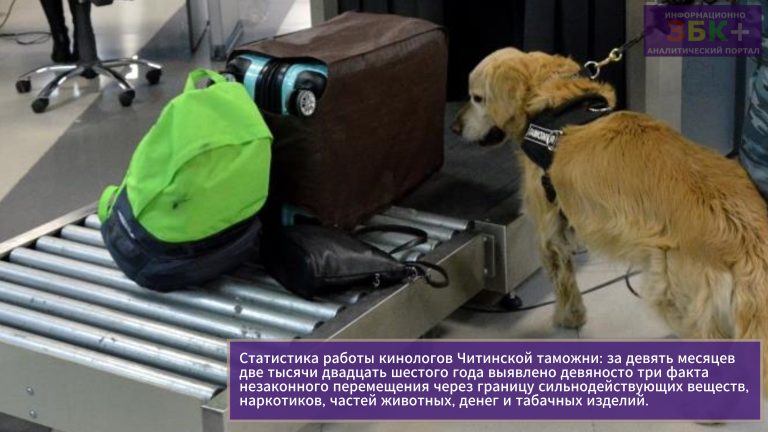 Кмнологи Читинской таможни 2026 1