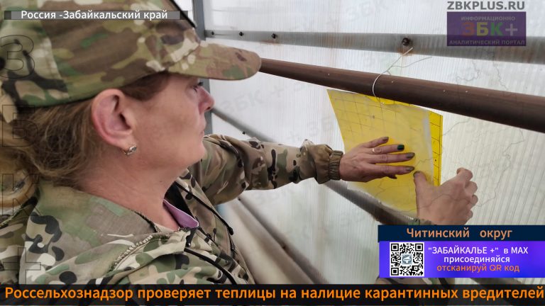 Россельхознадзор проверка теплиц 1